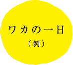 ワカの一日(例)